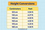 5.3 Cm to Feet and Inches
