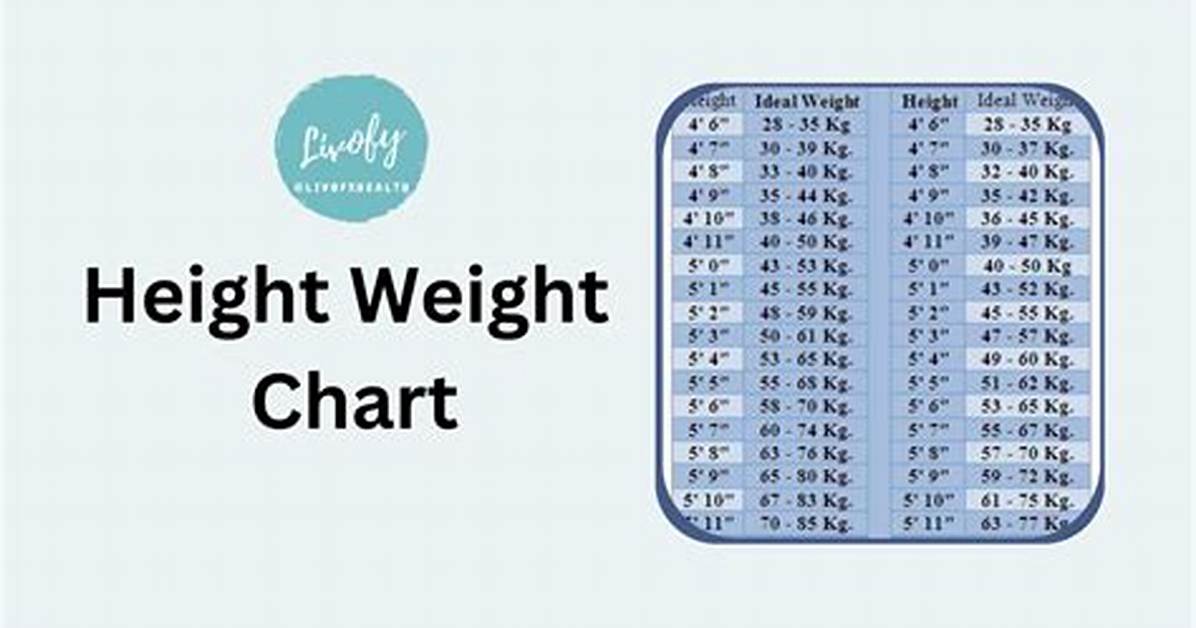 A Guide to Height, Weight, and Bio