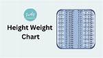 A Guide to Height, Weight, and Bio