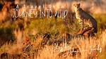 A Journey into the Wild