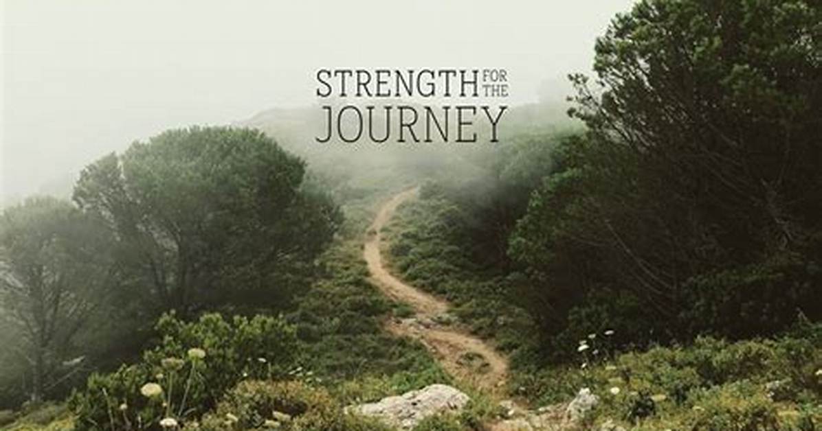 A Journey of Strength and Aesthetics