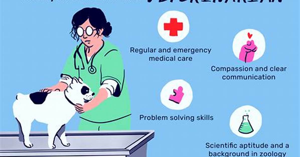A Vet Explains How to Pick up Your Cat Like a Pro (Bye Bye Scratches)
