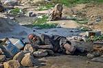 Amou Haji: the World's Dirtiest Man