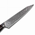 Best Chef's Knives: Vg10 Damascus & High Carbon - Shop Now!
