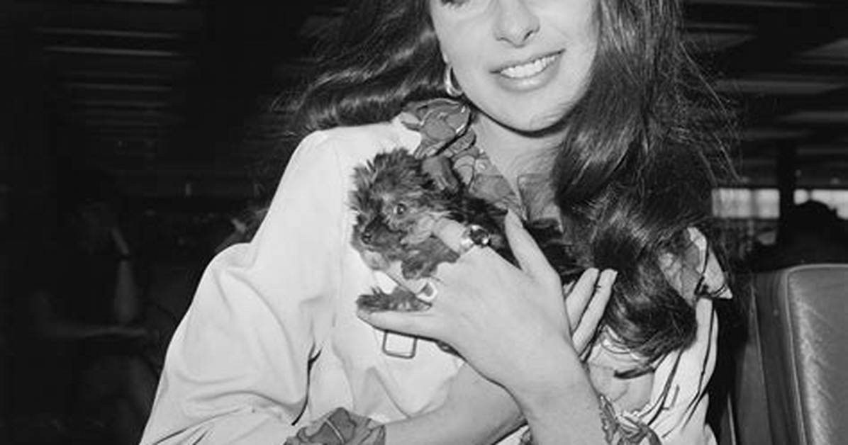Bobbie Gentry Height, Weight, Net Worth, Age, Birthday, Wikipedia, Who, Nationality, Biography