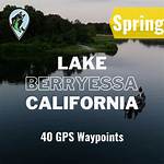 Can Dogs Swim in Lake Berryessa? |
