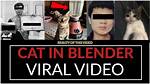 Cat in Blender Video on Twitter, Here's the Original Footage Explained