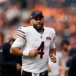 Chase Daniel's Age, Wiki, and Biography