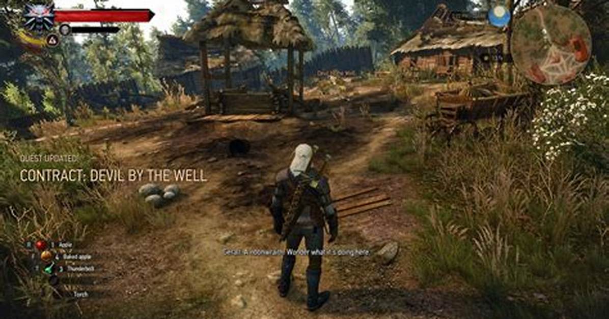 Contract: Devil by the Well, Witcher 3: Wild Hunt Quest ·