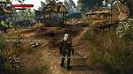 Contract: Devil by the Well, Witcher 3: Wild Hunt Quest ·