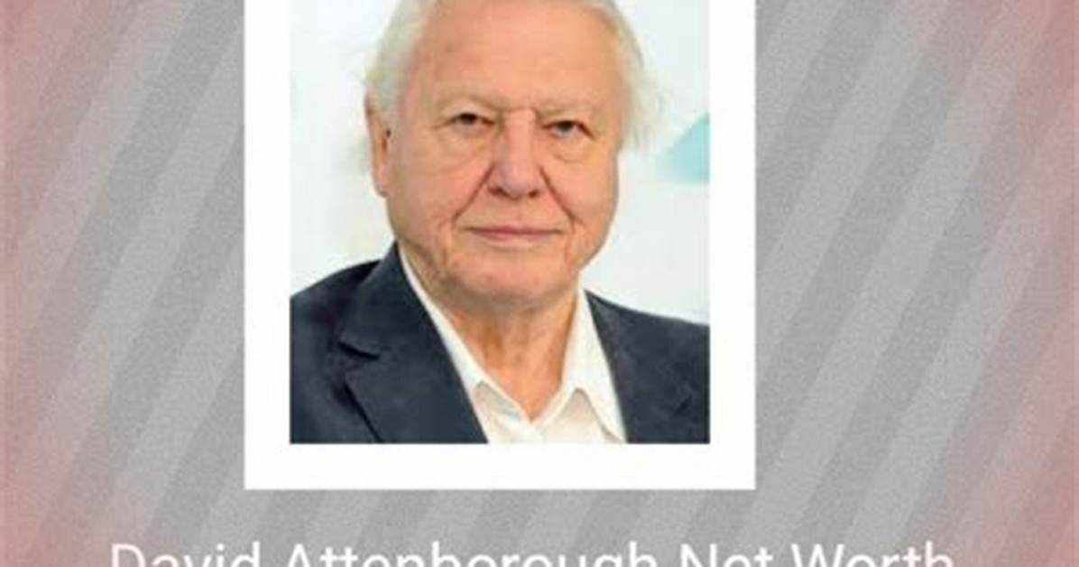 David Eisenberg Net Worth, Income, Salary, Earnings, Biography |