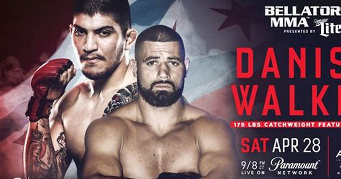 Dillon Danis Bellator Record: Dominance and Precision