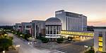 Discover Shreveport Beyond the Games