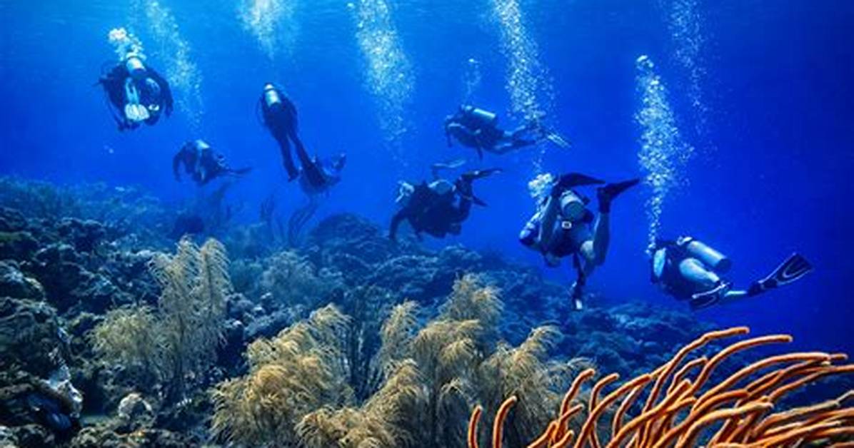 Discoveries and Insights for Ig20