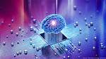 Discoveries and Insights in Brain-Computer Interfaces
