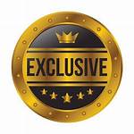 Exclusive Insights and Intriguing Details