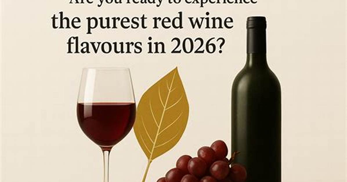 Explore the World of Red Wine at Taipei Red Expo