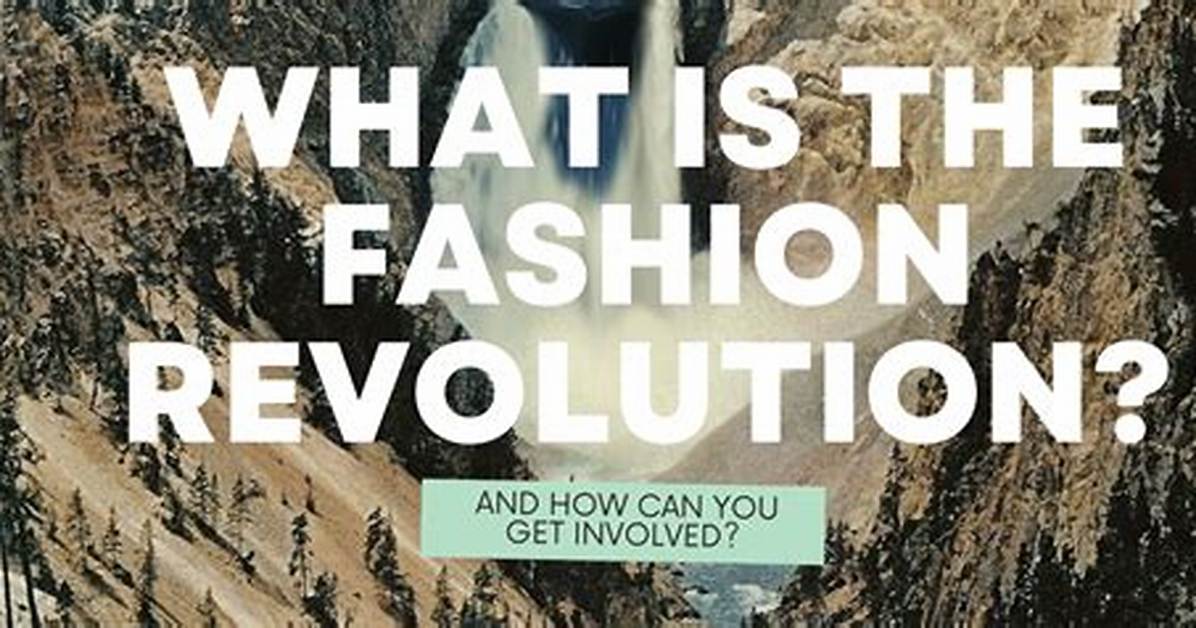 Exploring Dreamin Clothing: a Fashion Revolution