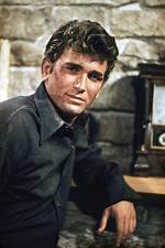 Exploring the Legacy of Michael Landon