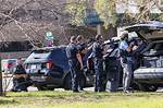 Fatal Shooting Claims Life in West Charlotte, Perpetrator at Large as Police Investigate |