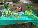 Green Items for Color Party