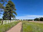 Heber Az: the Rise of a Social Media Influencer