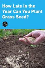 How Late Can You Plant Grass Seed in Chicago?