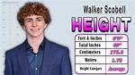 How Walker Scobell's Height Impacts His Career and Life