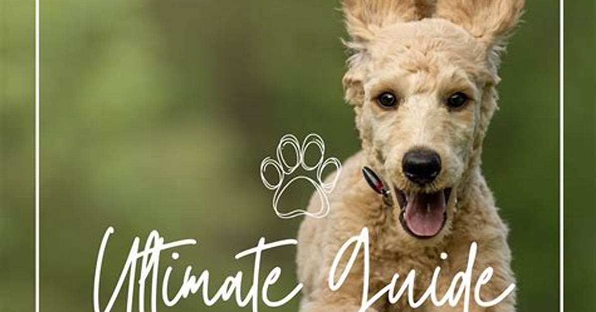 Imskirby Dog: the Ultimate Guide to Understanding This Remarkable Breed