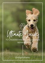 Imskirby Dog: the Ultimate Guide to Understanding This Remarkable Breed