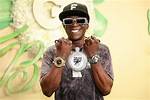 Is Flavor Flav Still Alive? the Life and Times of a Hip-Hop Icon