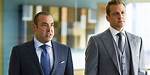 Is Lewis from Suits Gay? Discoveries and Insights