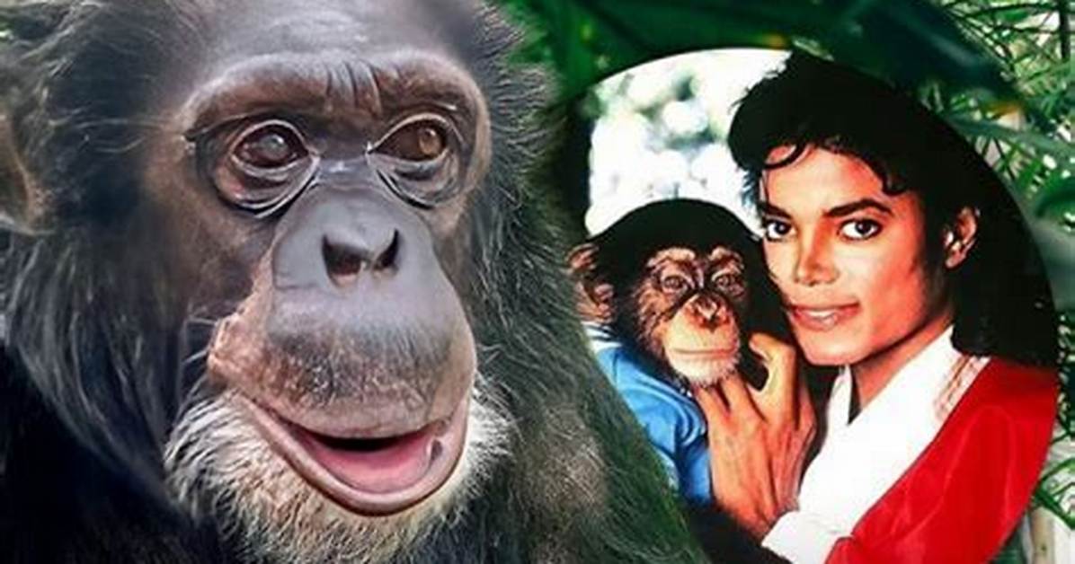 Is Ted Vernon Still Alive? Discoveries and Insights Await