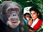 Is Ted Vernon Still Alive? Discoveries and Insights Await