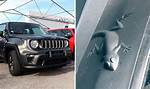 Jeep Hidden Animals