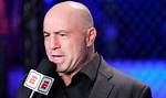 Joe Rogan Admits Schools Don't Have Litter Boxes for Kids Who Identify as Furries | Joe Roga