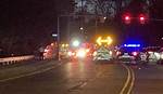 Monica Suh Car Accident: a Tragic Loss of Life in a Fiery Tesla Crash