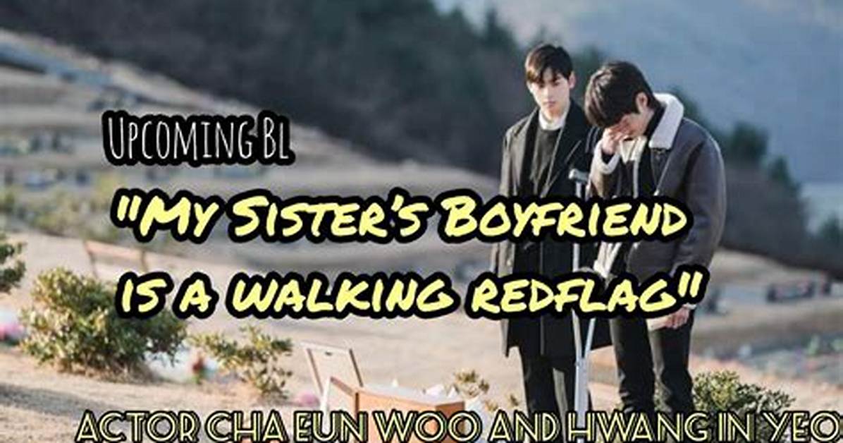 My Sister's Boyfriend Is a Walking Red Flag Kdrama: a Tale of Love Gone Awry