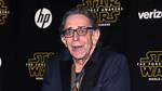Peter Mayhew Net Worth