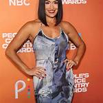 Pregnant Nikki, Brie Bella Pose Nude Ahead of Birth: Baby Bump Pics ·