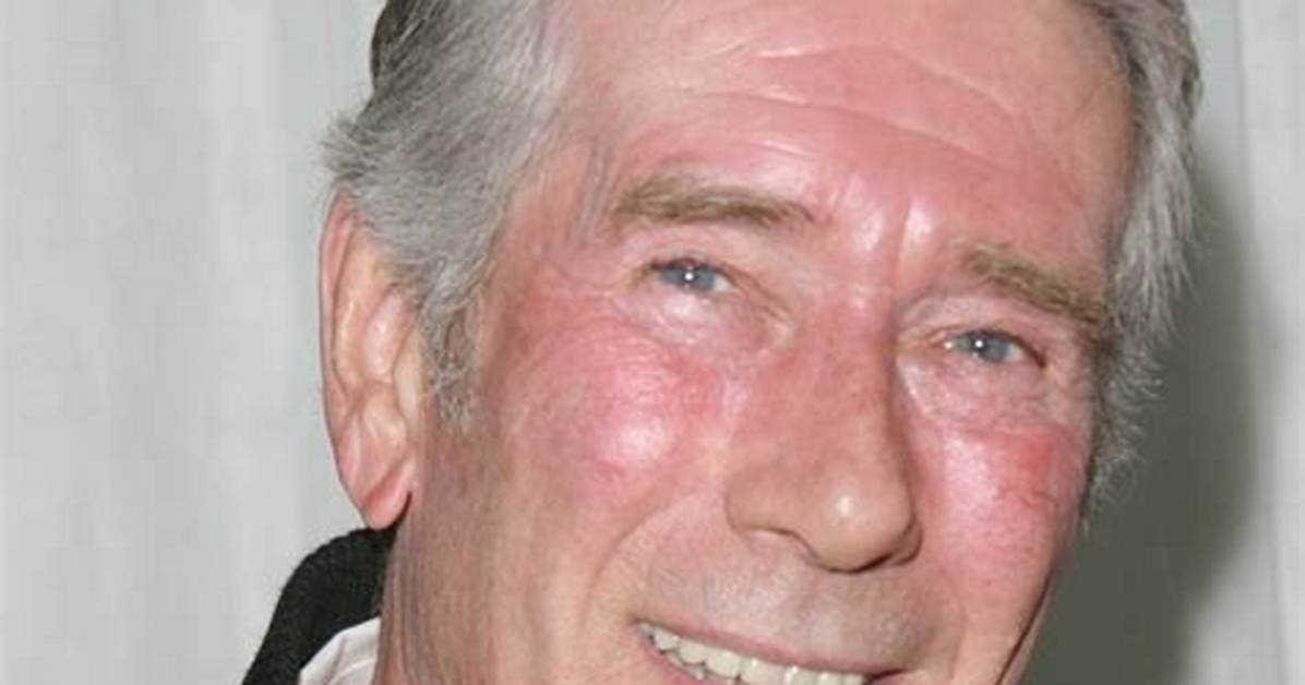 Robert Fuller's Net Worth Explored