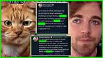 Shane Dawson Cat Video Leaked Animal Abuse