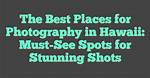 Stunning Shots: See the Best of Molly Noblitt's Photography