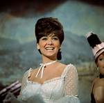 Suzanne Pleshette: the Life and Legacy of a Hollywood Icon