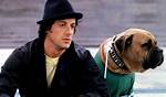 Sylvester Stallone: a Journey Through Stardom and Resilience
