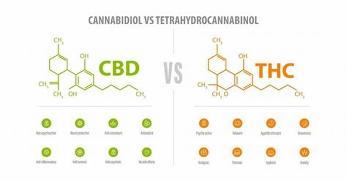 Thc and Cbd Content of the Tropicana Cookies Cannabis Strain
