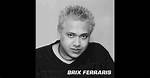 The Brix Ferraris Disappearance Mystery
