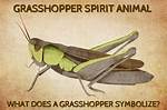 The Grasshopper Spirit Animal | Snogblogy