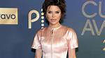 The Life and Legacy of Lisa Rinna's Husband: a Comprehensive Insight
