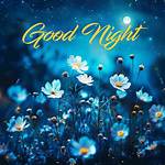 The Ultimate Collection of Goodnight Pictures: Dreamy and Heartfelt Goodnight Wishes